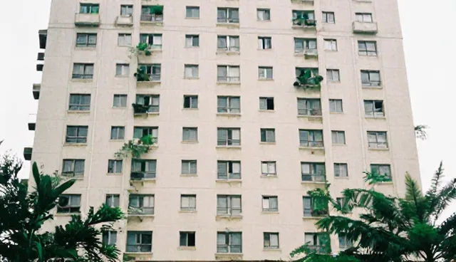 线上平台搭建中的SEO优化服务实际应用与注意事项